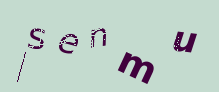 Captcha Image: you will need to recognize the text in it.